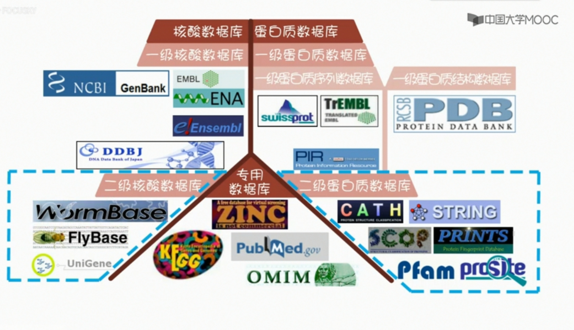 pdb(protein data bank)的最新版本数据库)三,文献数据库—pubmed链接