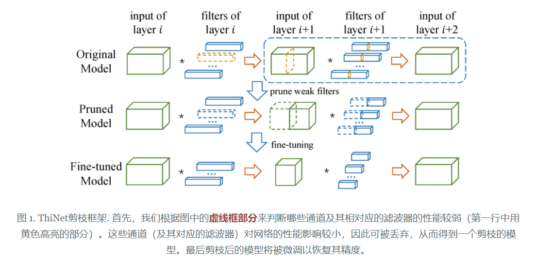 ThiNet剪枝流程