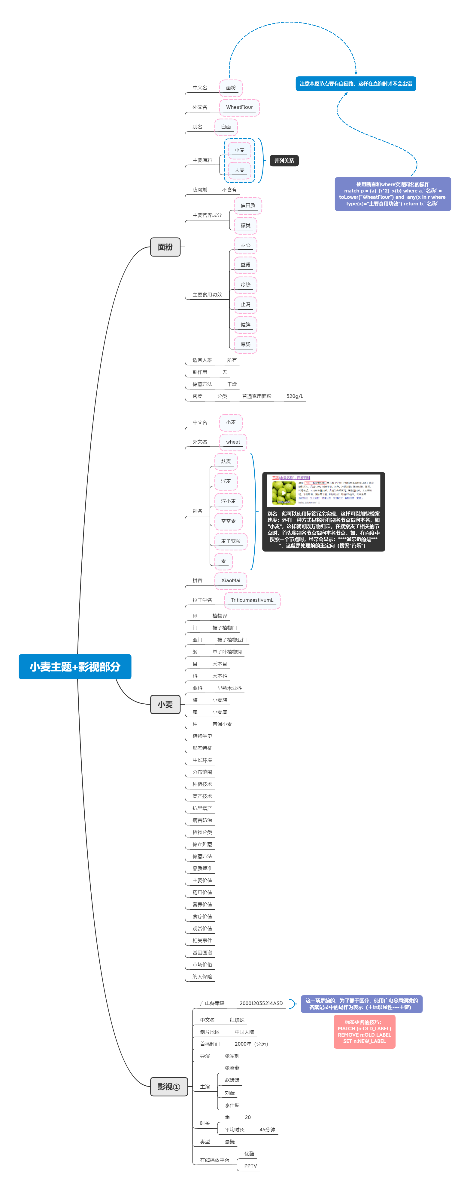 小麦主题