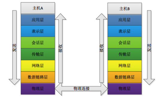 网络七层模型的各层特点_谈谈你对盒模型的理解