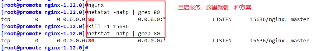 ここに画像の説明を挿入