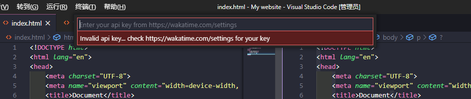 如何获取vs code中插件Waka Time的API key_wakatime api key-CSDN博客