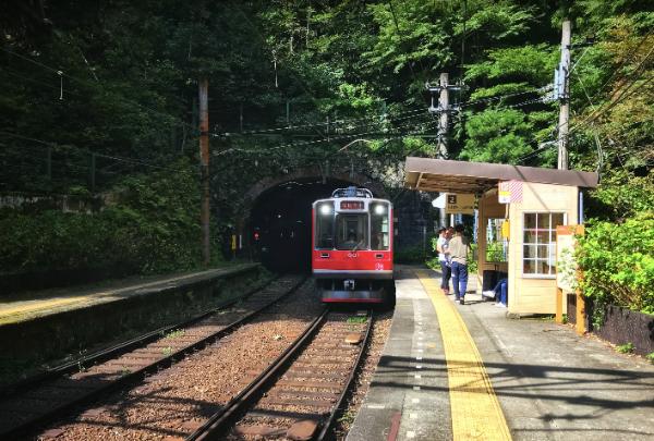 今年车票难抢吗? 铁路部门临时调整车票预售期为15天