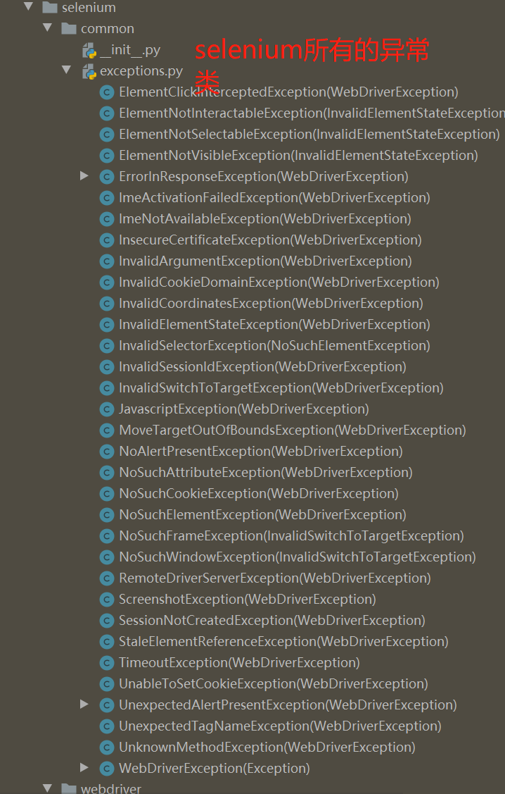 selenium异常类