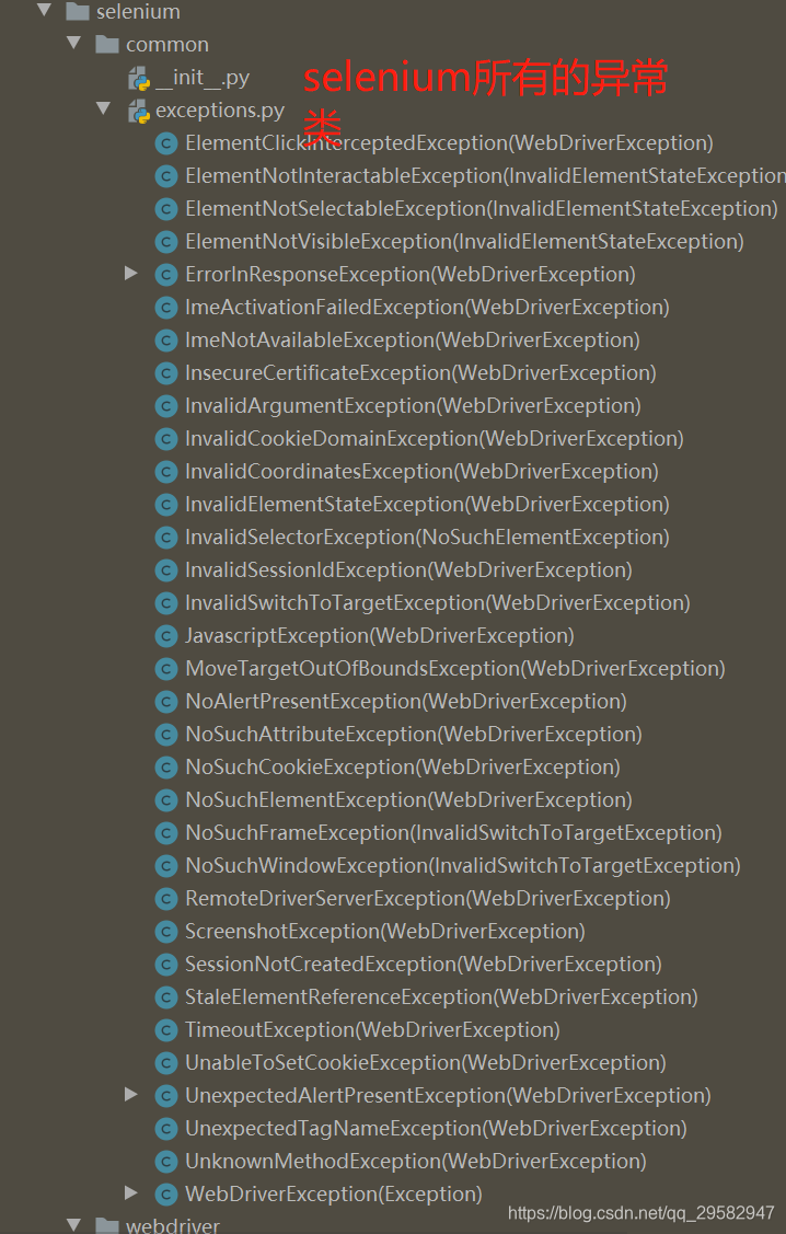 selenium异常类