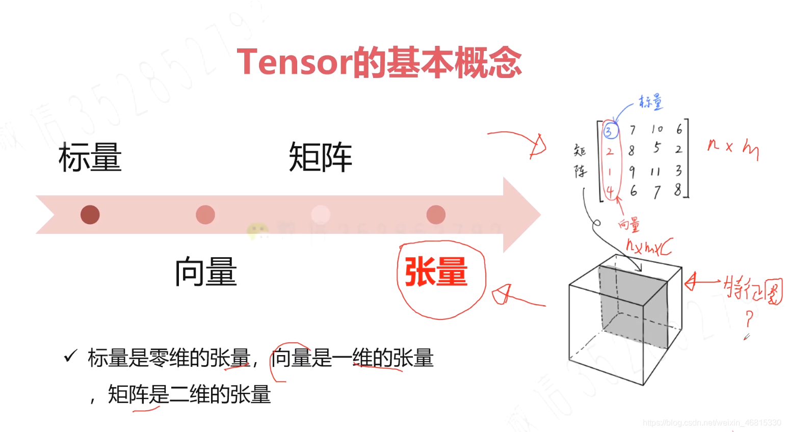 Dynamic Tensor 3-2Tensor的基本定义_dqn中状态tensor怎么定义-CSDN博客