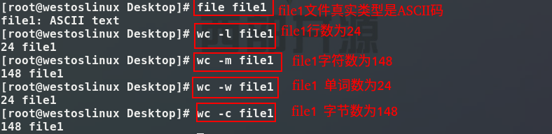 file和wc命令运行截图