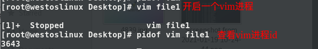 pidof vim