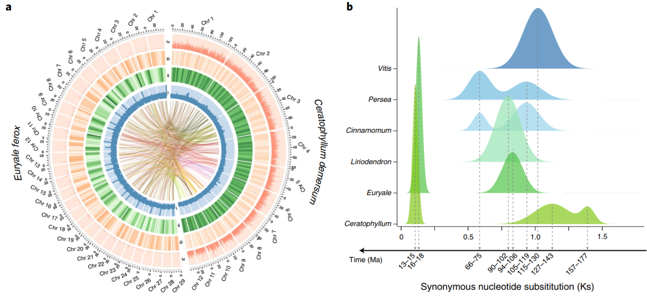 比较基因组学分析（Comparative Genomics Analysis）_比较基因组分析-CSDN博客