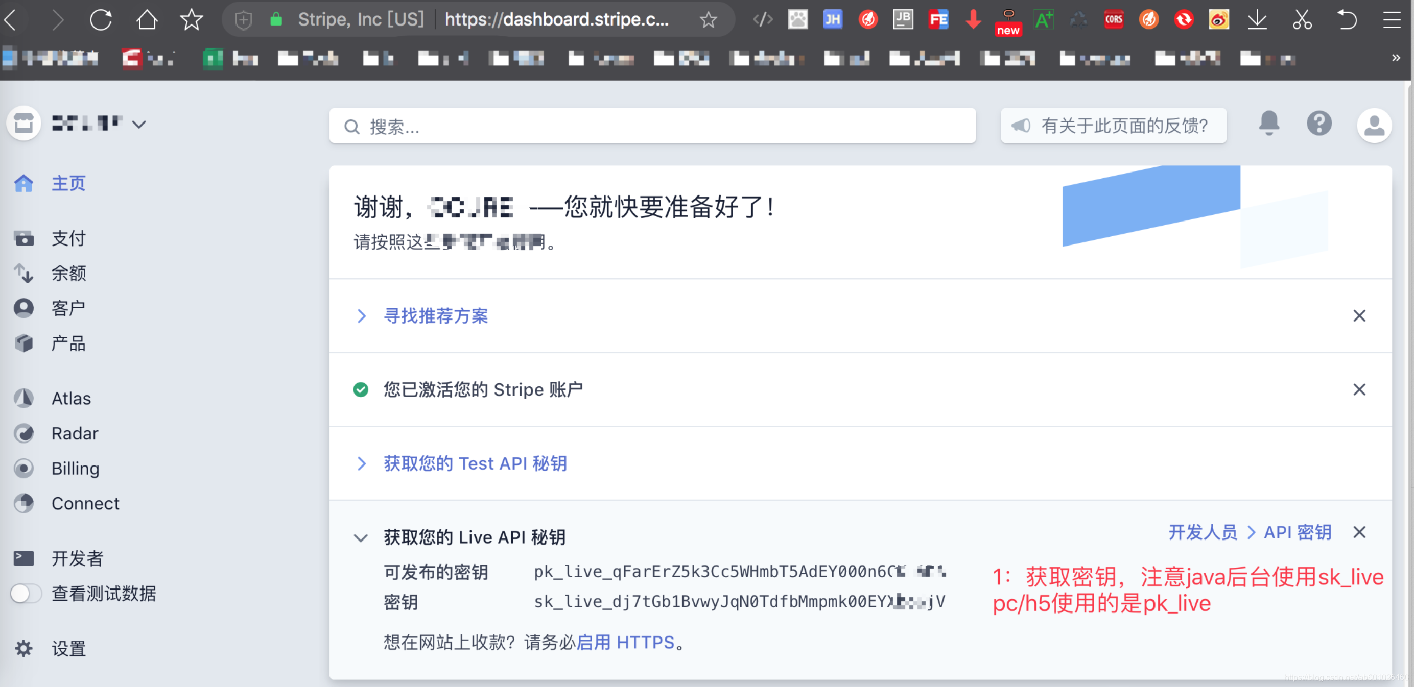 stripe获取api密钥