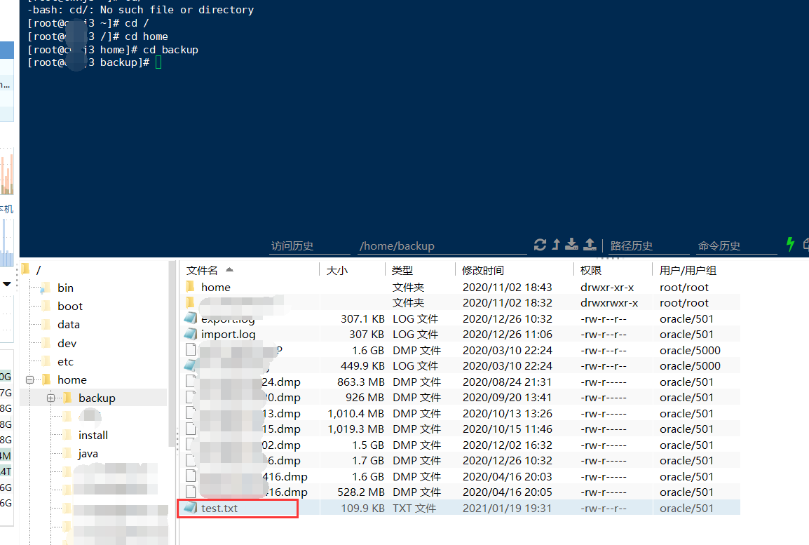 Oracle blob преобразовать в текст