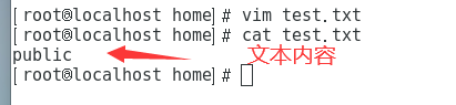 vi/vim编辑器使用教程