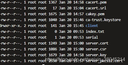 Syslog-ng TLS加密服务端配置,客户端配置。-CSDN博客