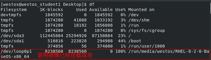 查看是否挂载成功