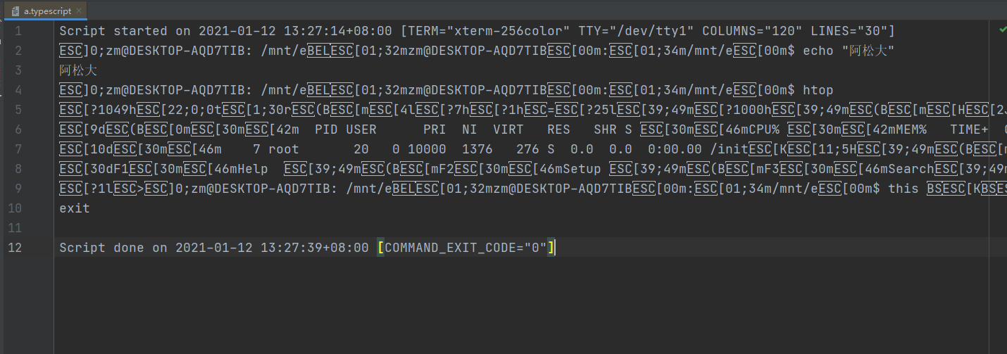 Xterm.js集成TypeScript实现终端操作回放，应用于审计监控_typescript.timing 播放-CSDN博客