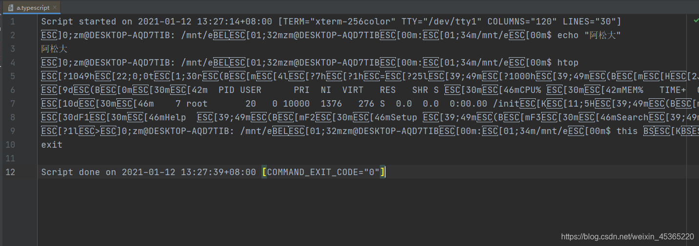 Xterm.js集成TypeScript实现终端操作回放,应用于审计监控_typescript.timing 播放-CSDN博客