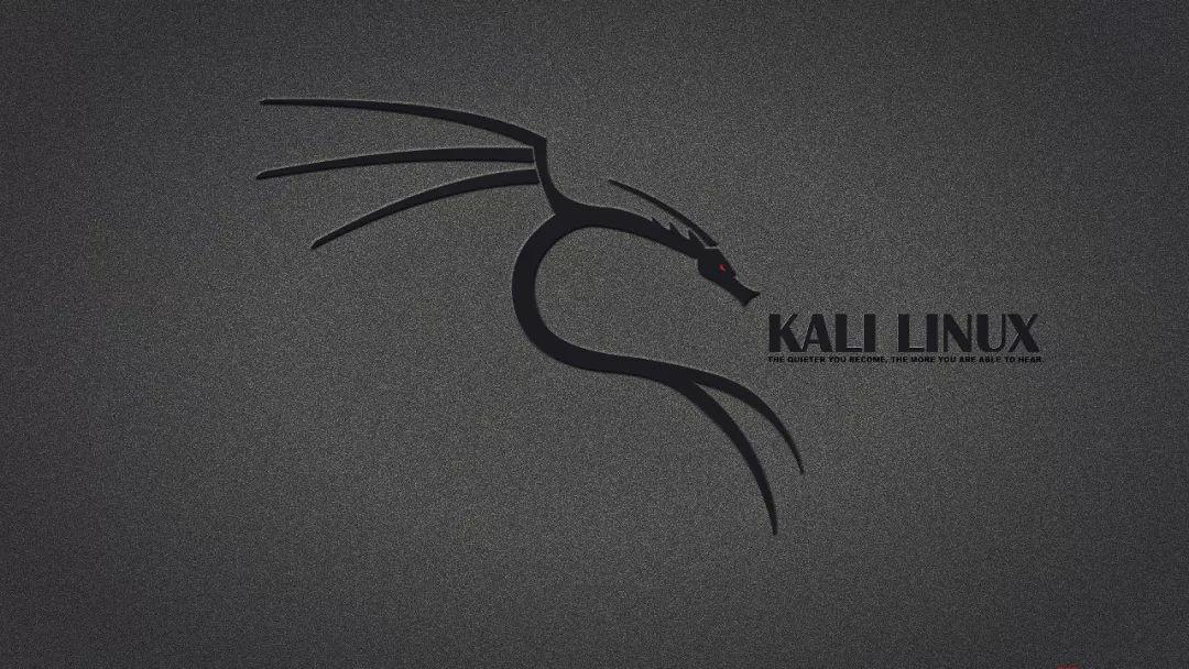 Kali Linux 2020.4 安装教程 超级详细 适合新手入门