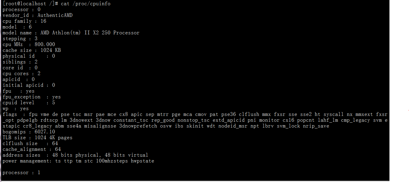 cat proc cpuinfo address size
