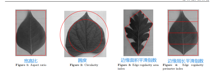 数学建模优秀论文（2012年A题树叶的分类）_一颗树的叶子数学建模-CSDN博客