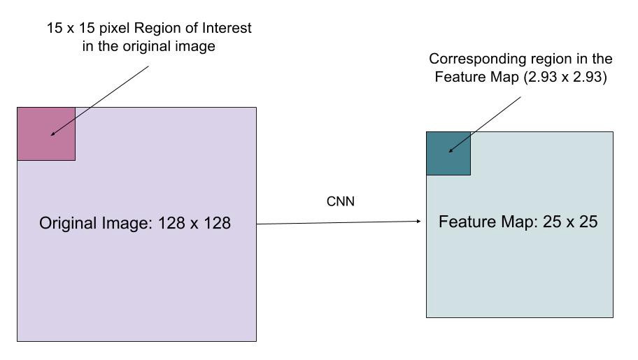 resize image cv2