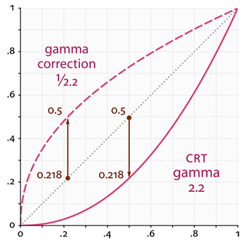 伽马曲线