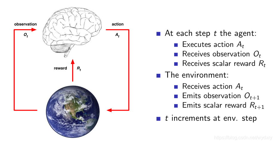 个体与环境的关系