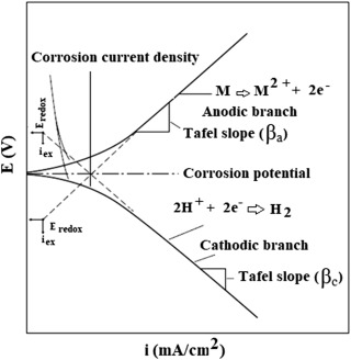 电化学线性极化曲线的tafel外推法(tafel拟合)得到年腐蚀速率和极化
