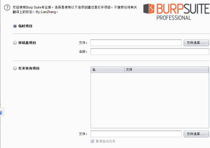BP 安装教程详解_bp安装-CSDN博客