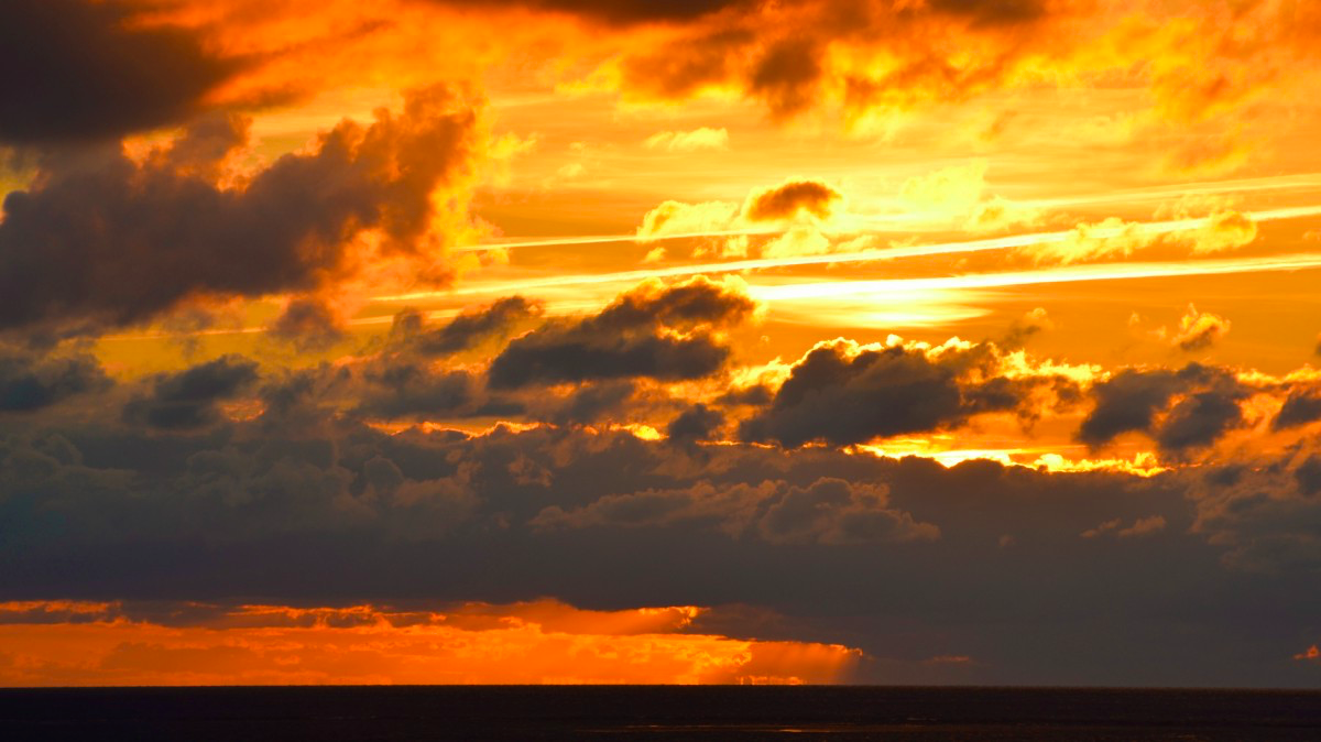 [Flink] Flink运行报错Container released on a *lost* nodeCSDN博客