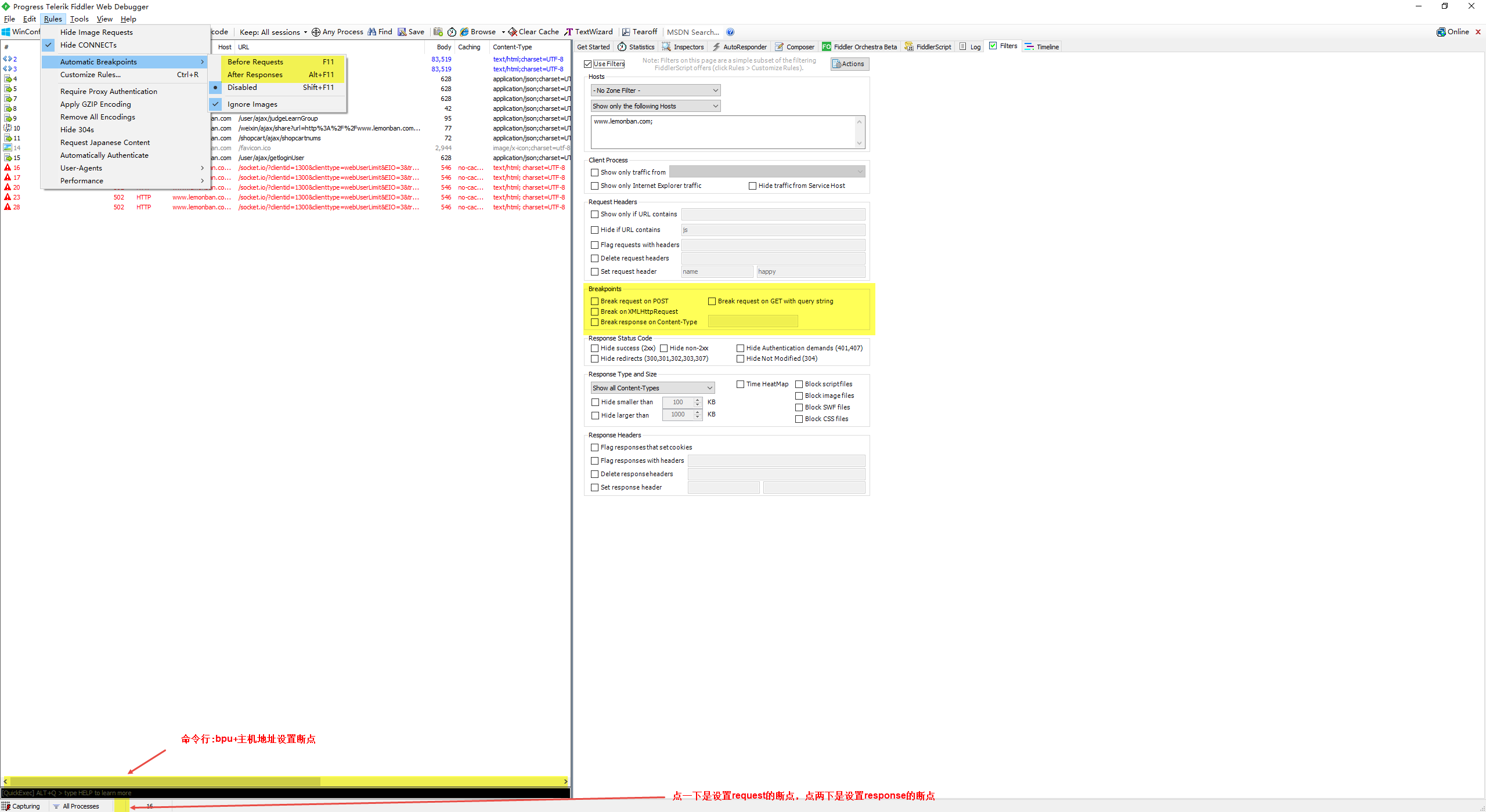 Fiddler - 设置断点的四种方式