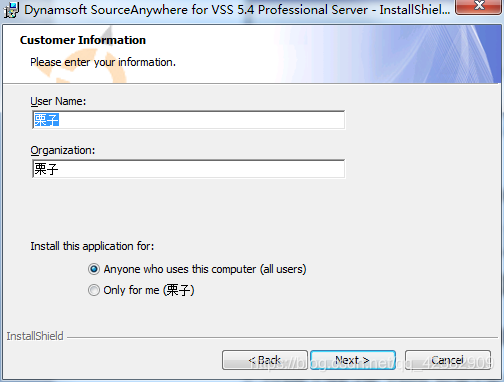 Dynamsoft SourceAnywhere for VSS 5.4安装配置指南-CSDN博客