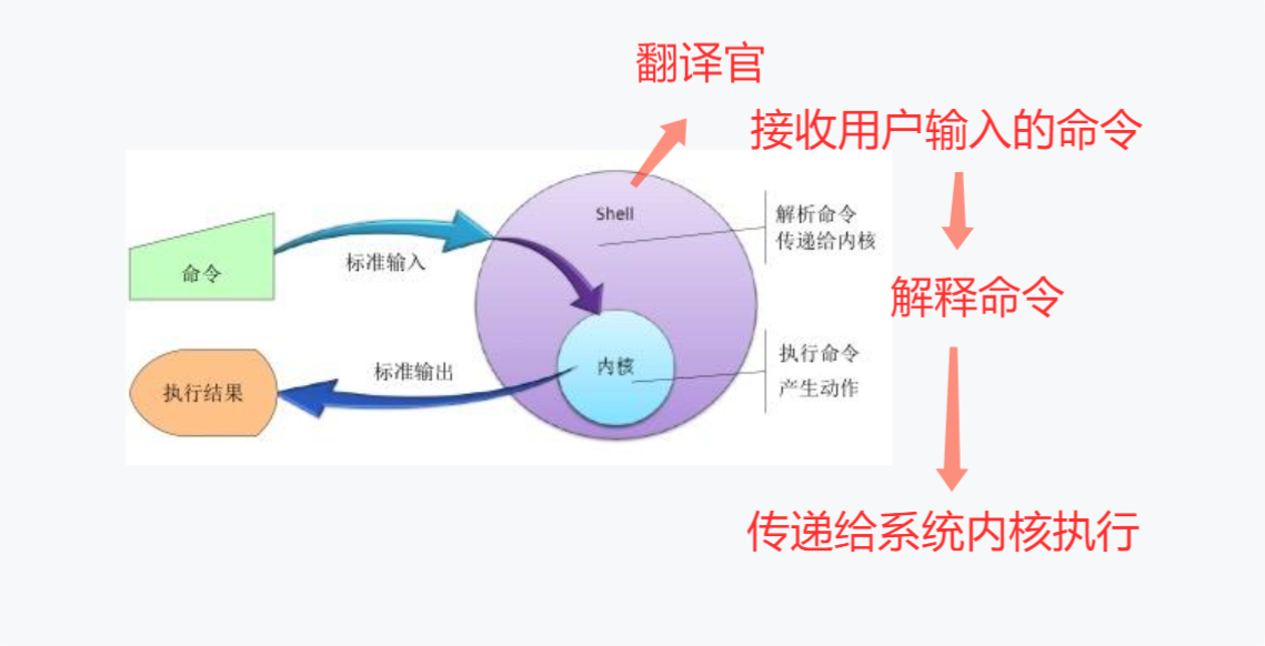 여기에 사진 설명 삽입