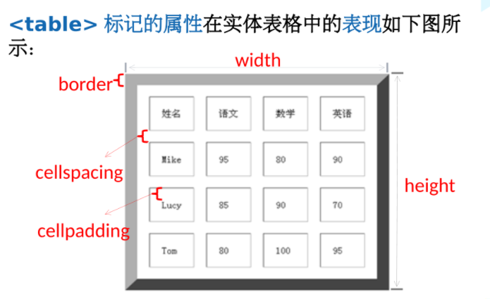 html中table标签、tr标签、th标签、td标签的基础知识