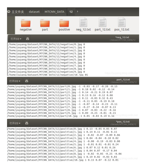 竞赛 基于深度学习的人脸性别年龄识别 - 图像识别 opencv