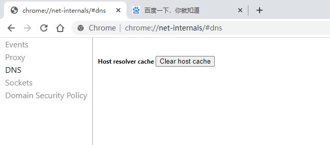 chrome://net-internals/#dns