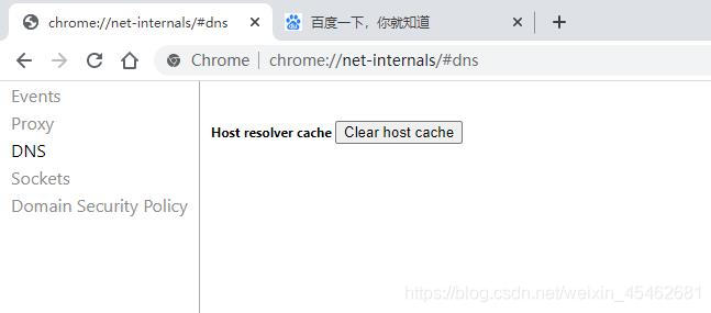 chrome://net-internals/#dns