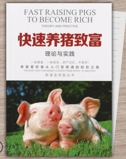 程序员的办公桌上，都出现过哪些神奇的玩意儿 ~