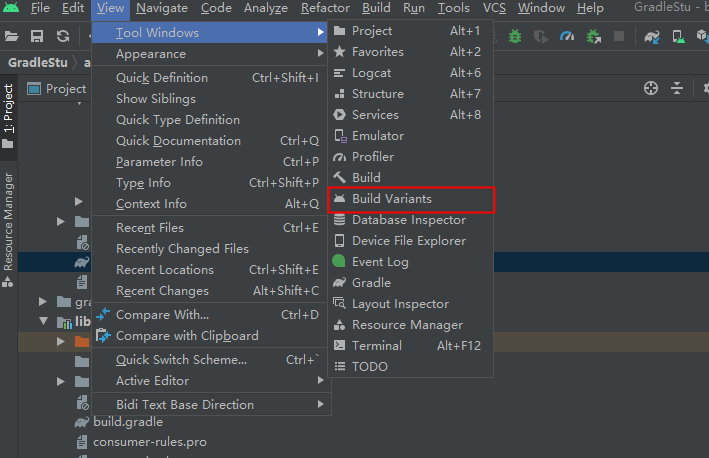 build variants window