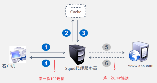 Squid原理及三种代理模式_squid工作原理-CSDN博客