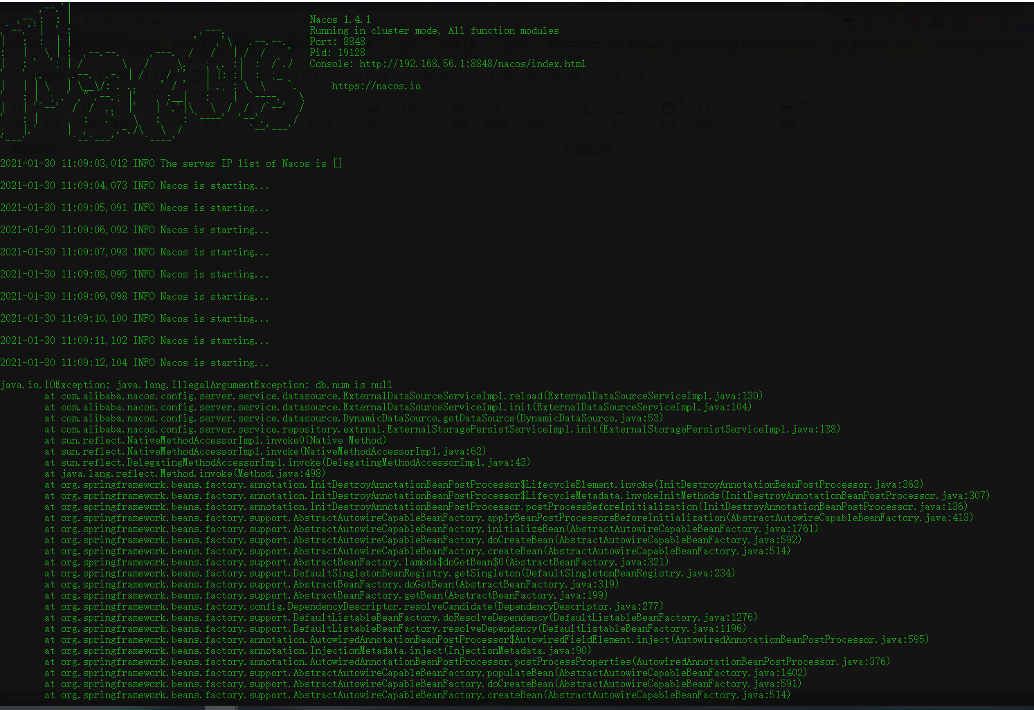 【已解决】Nacos启动报错：java.io.IOException java.lang.IllegalArgumentException