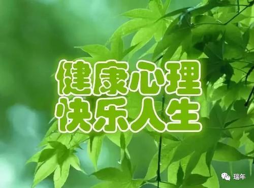 码农996007的工作生活状况真的比起其他职业不健康吗