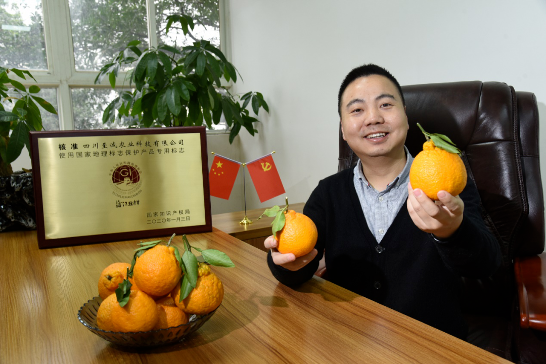 我原是兽医转型电商卖丑橘年赚15亿