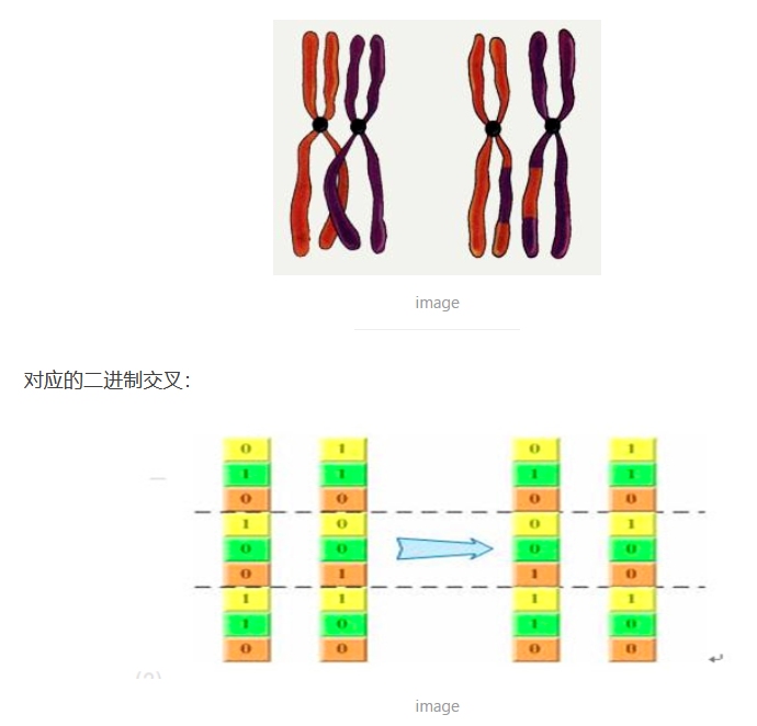 130什么是遗传算法geneticalgorithm