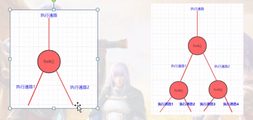fork()函数详解-CSDN博客