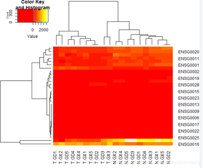 热图 heatmap.2 和 pheatmap_doheatmap和pheatmap-CSDN博客