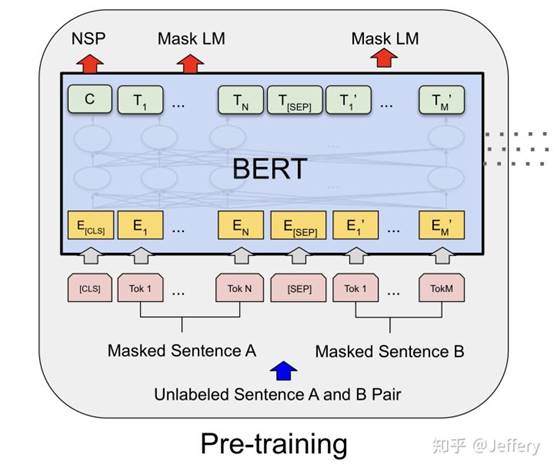 bert模型结构图片