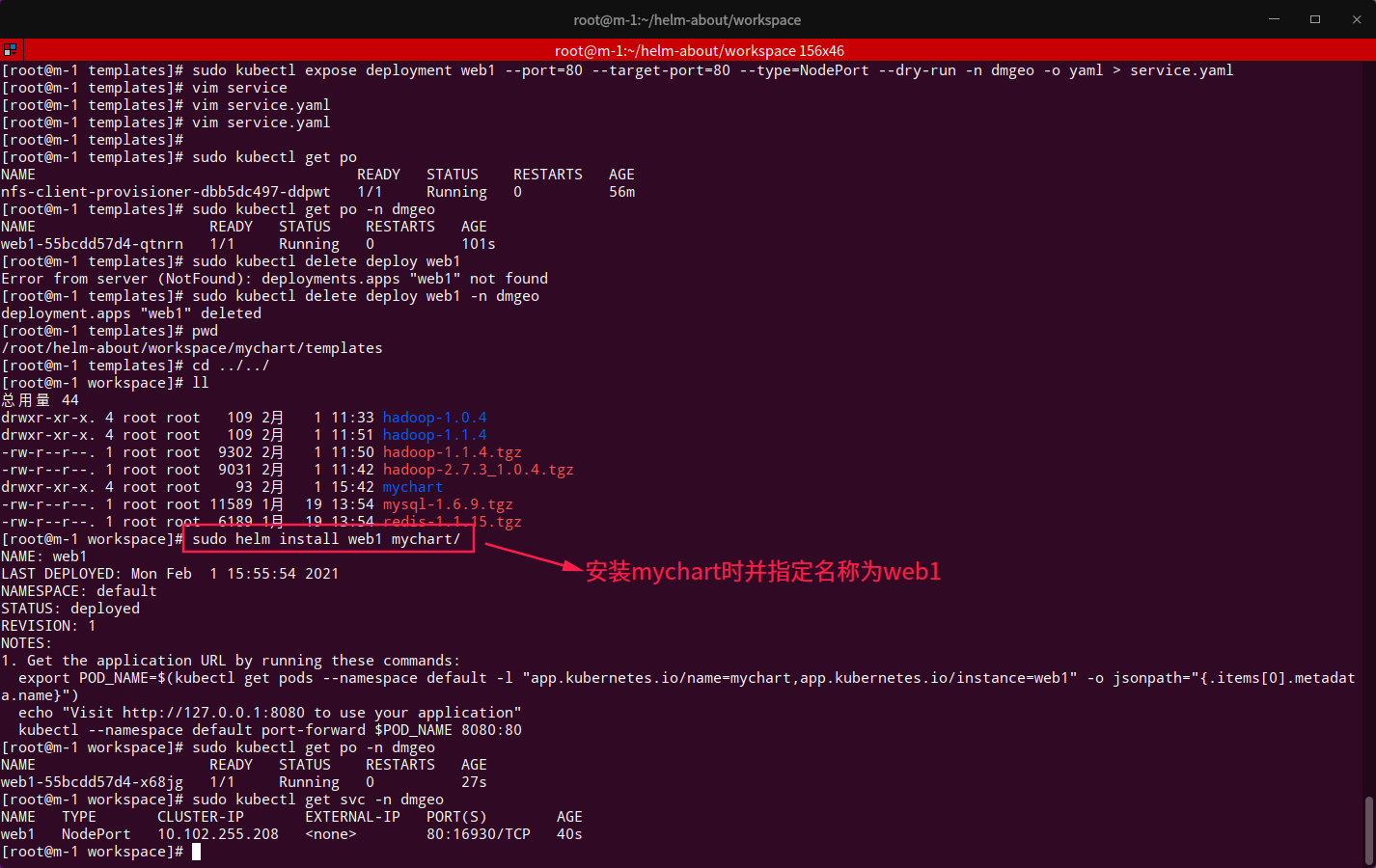 helm发布自定义Chart：指定namespace、设置NodePort_helm namespaceCSDN博客