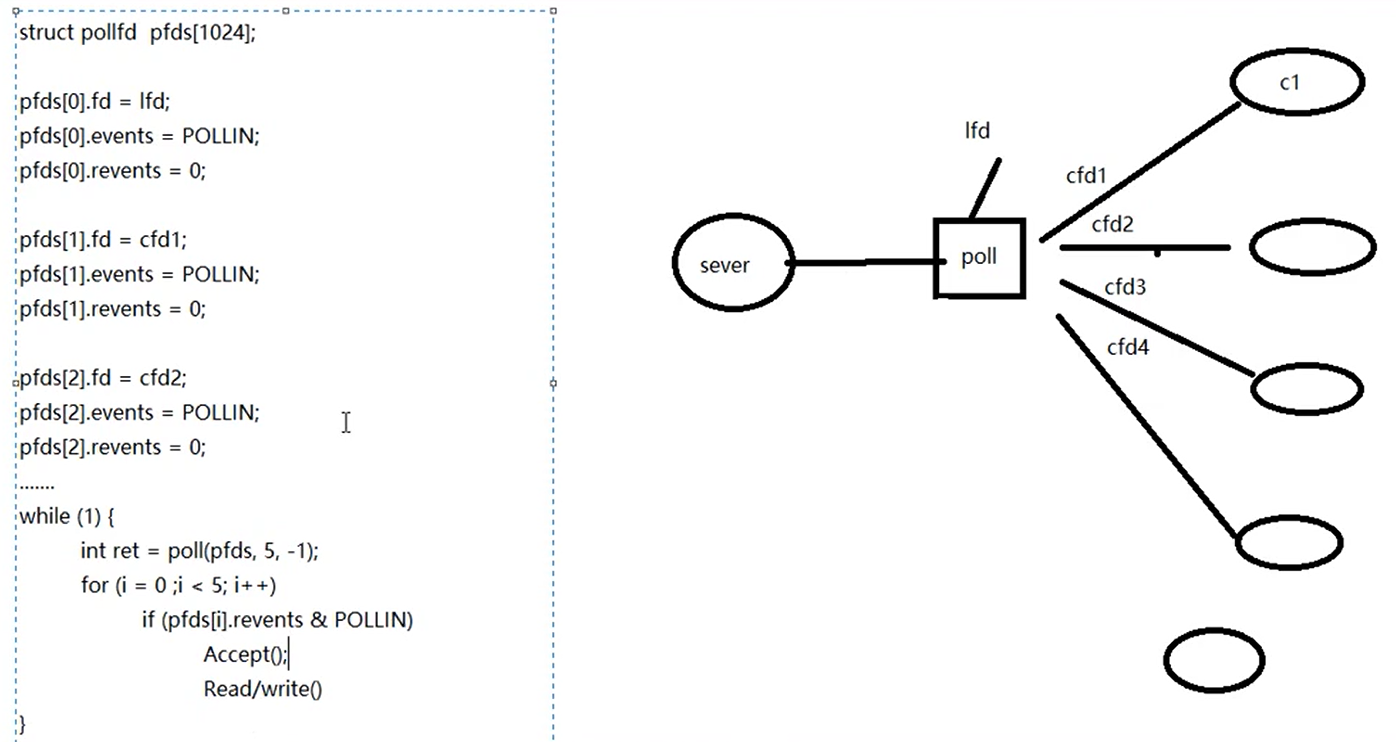 Linux Poll函数基础介绍CSDN博客