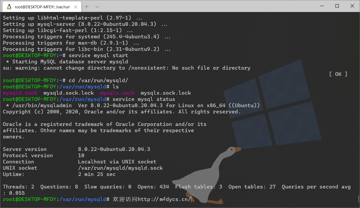 wsl2-wsl2-wsl2-mysql