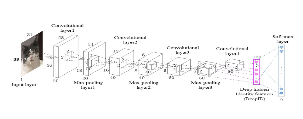 模型结构图:输入层(iputelayer,卷积层(convolutional layer)激励层